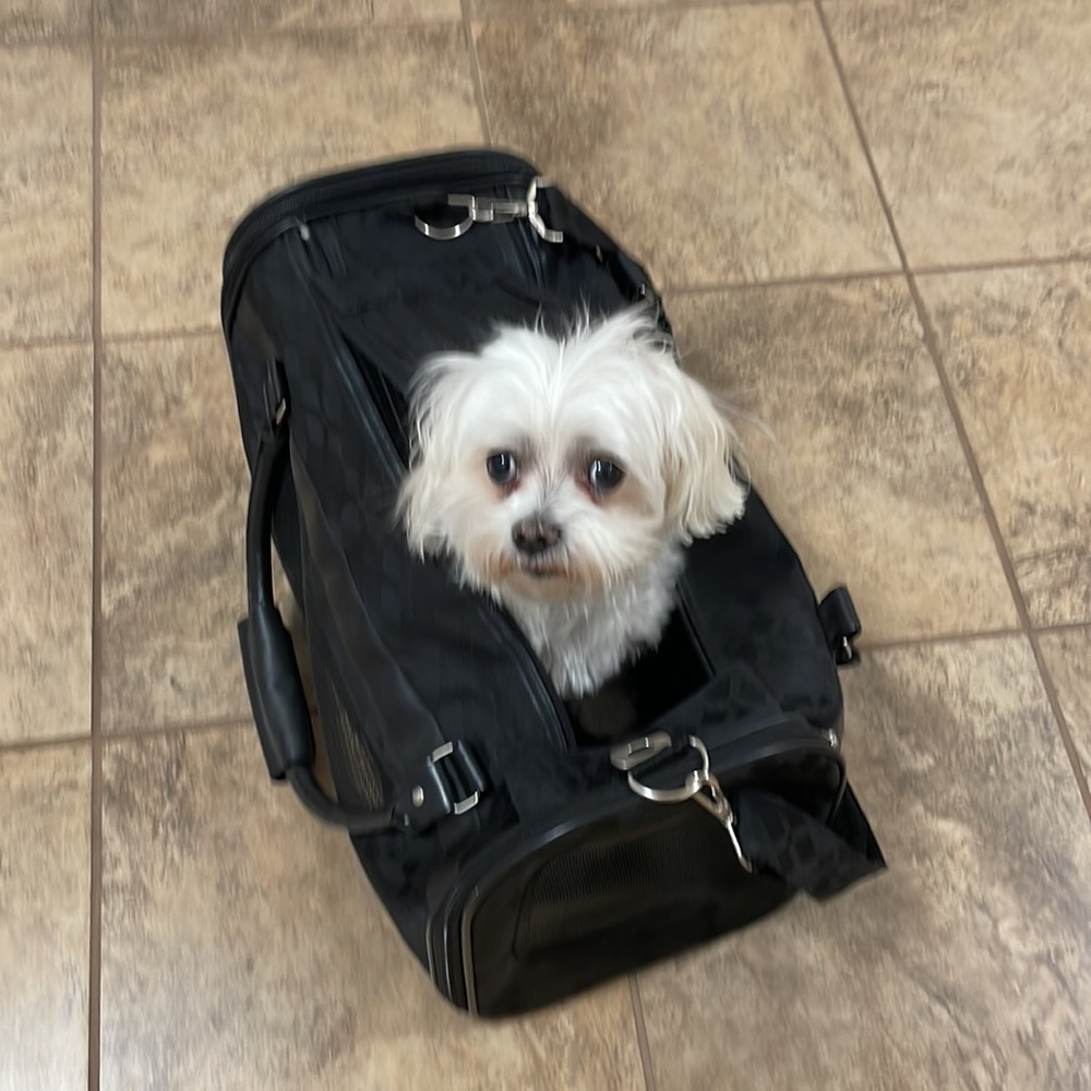 Pet carrier